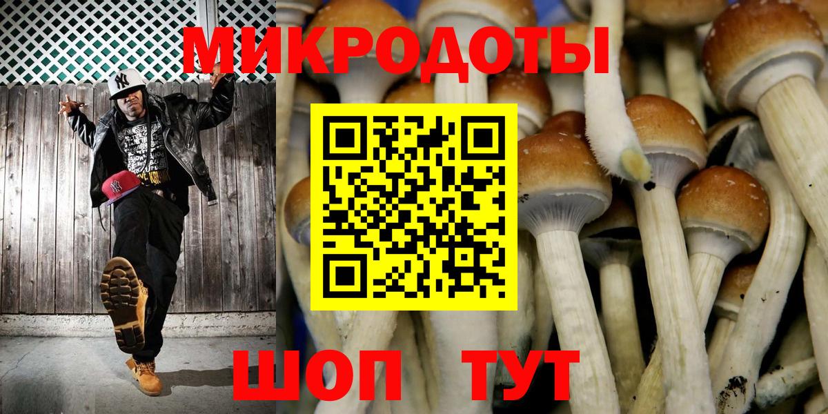 Тында  Галлюциногенные грибы GOLDEN TEACHER  Галлюциногенные грибы GOLDEN TEACHER  Вход с VPN 