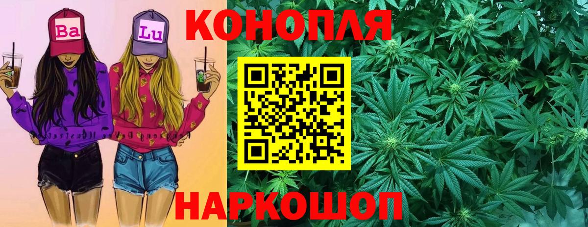 Бошки Шишки семена  Вход с VPN  Каннабис сатива  Тында  Конопля гибрид  Марихуана VHQ 